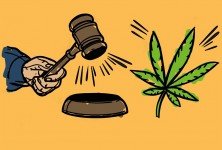 Cannabis-medicinal:-cuál-será-el-costo-de-la-ley,-cómo-se-financiará-y-cuántos-cargos-se-crearán